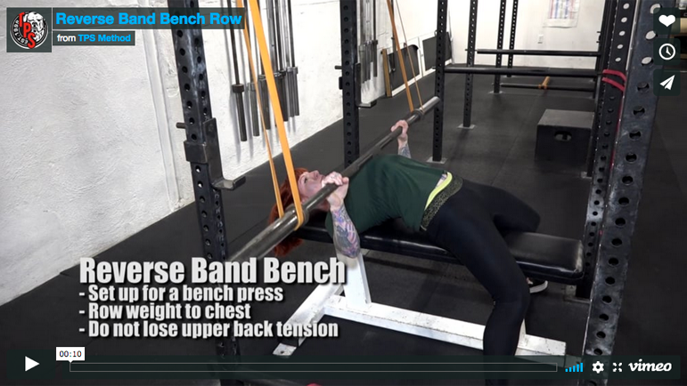 beginner powerlifting programs, bench press, squat, deadlift
