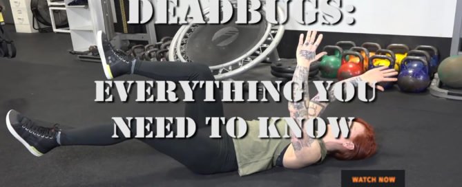 Dead Bugs Everything You Need to Know
