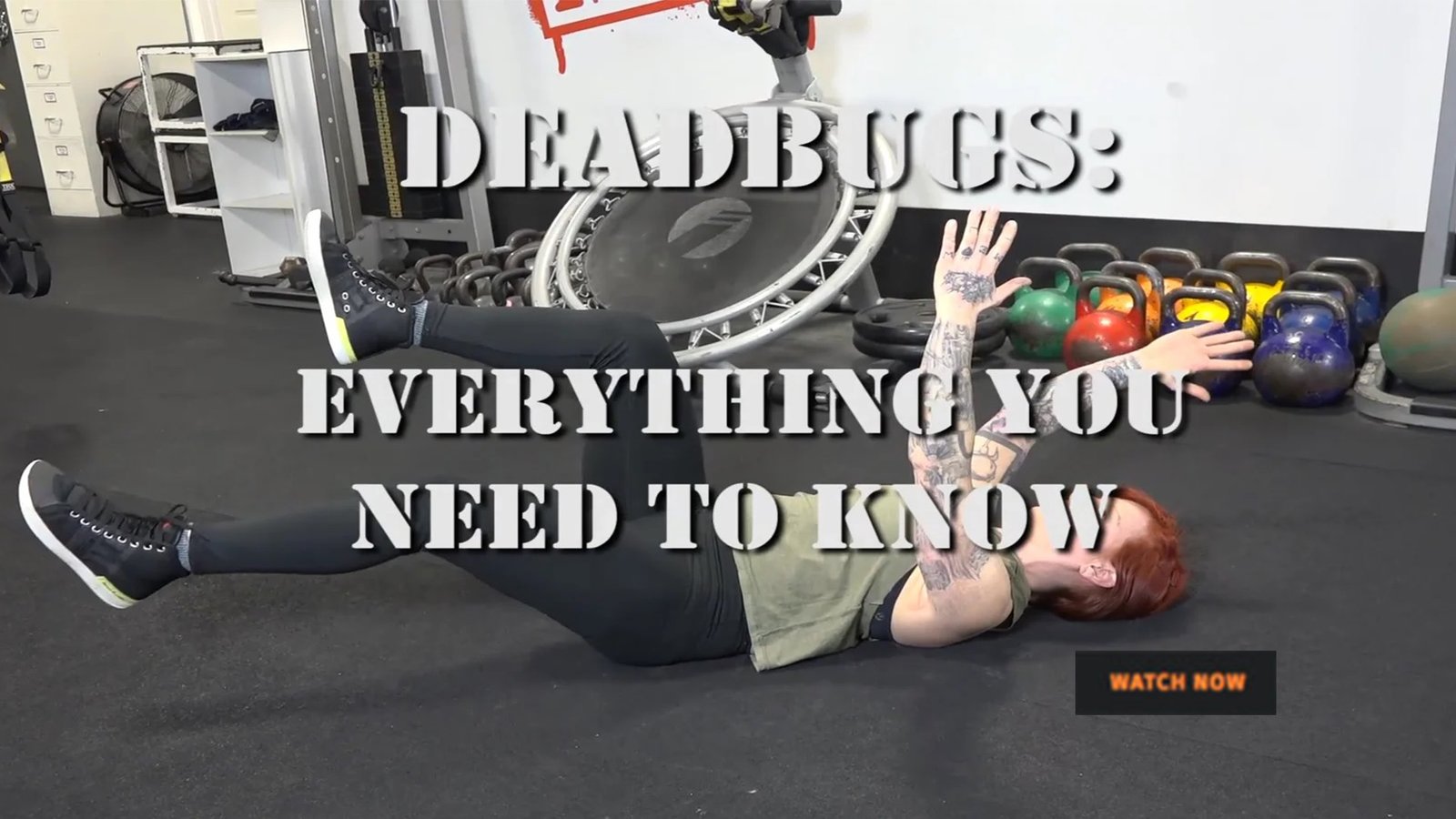 Dead Bugs Everything You Need to Know